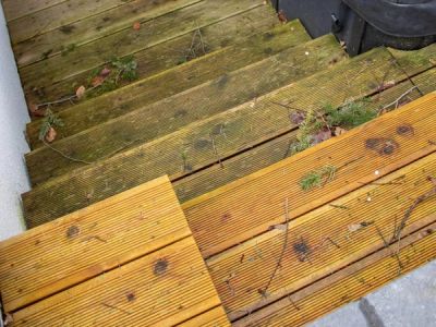 groene aanslag op trap