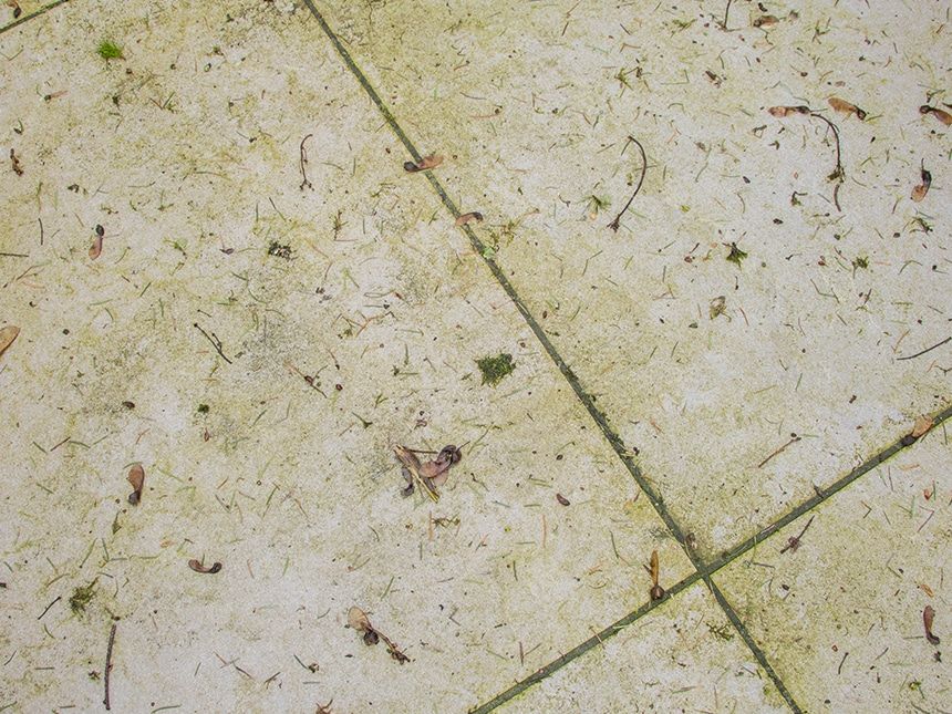 Tegels groene aanslag