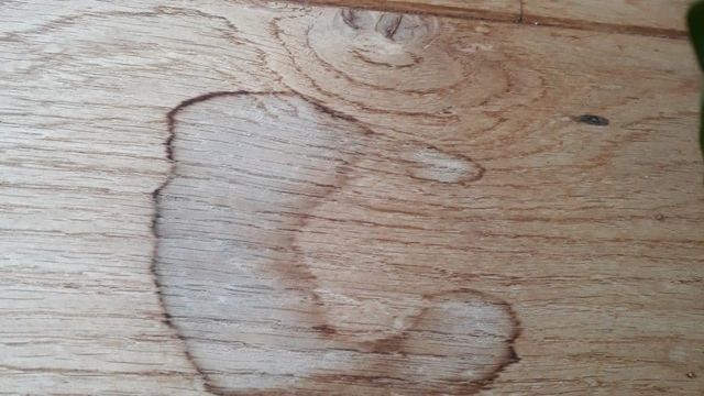 Close-up van een donkere watervlek in een houten vloer