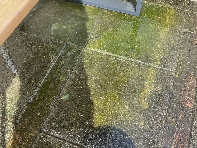 Betonnen tegels met groene aanslag en algen