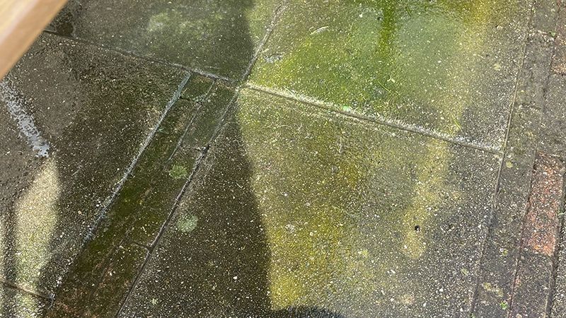 green deposits on concrete tiles