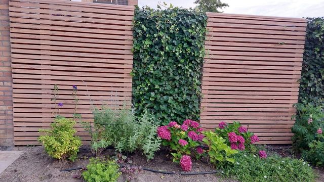 Houten schutting met bloeiende planten ervoor