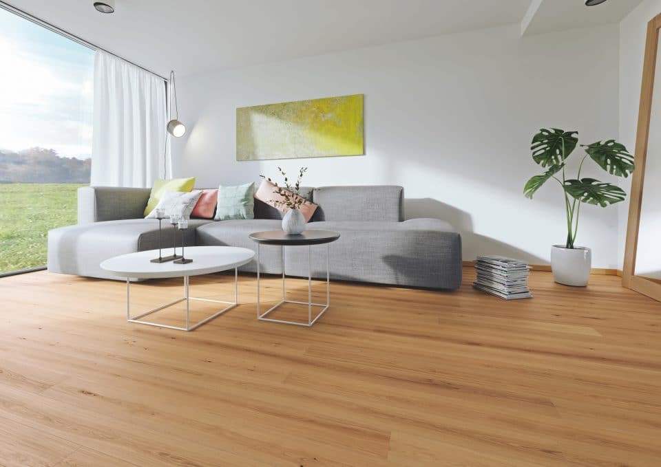 Het droog vuil is verwijderd 