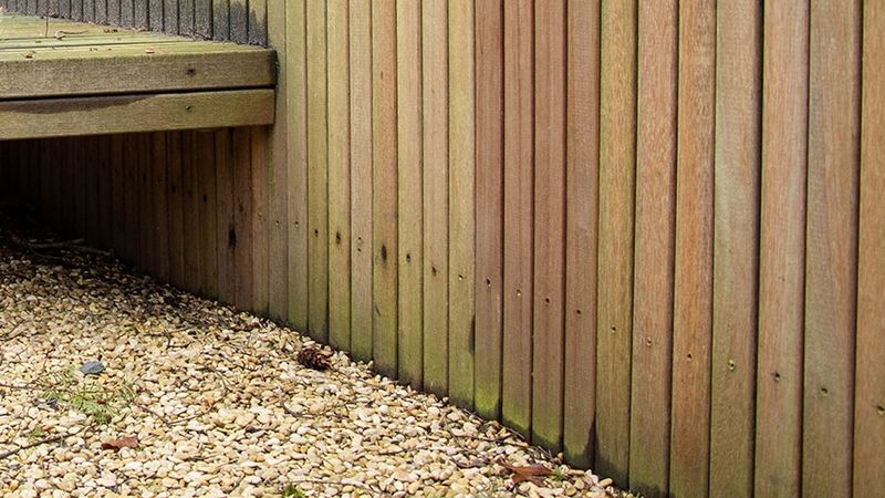 Groen aangeslagen schuting