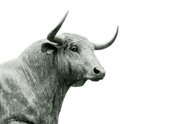 Stock Market Investing for Beginners: What You Must Know