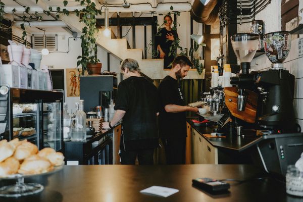 Employment Law for Small Business Owners: What You Must Know
