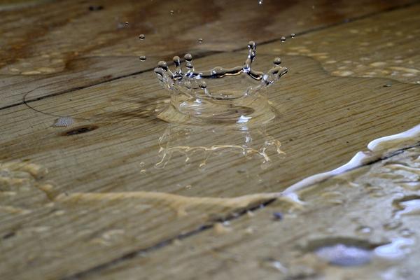 Home Insurance Claims for Water Damage: What Is Covered?