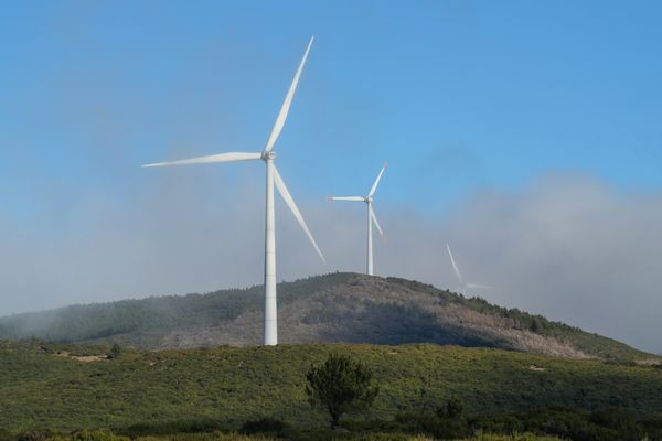 ESG Investing: Do Values-Based Investments Deliver Returns?