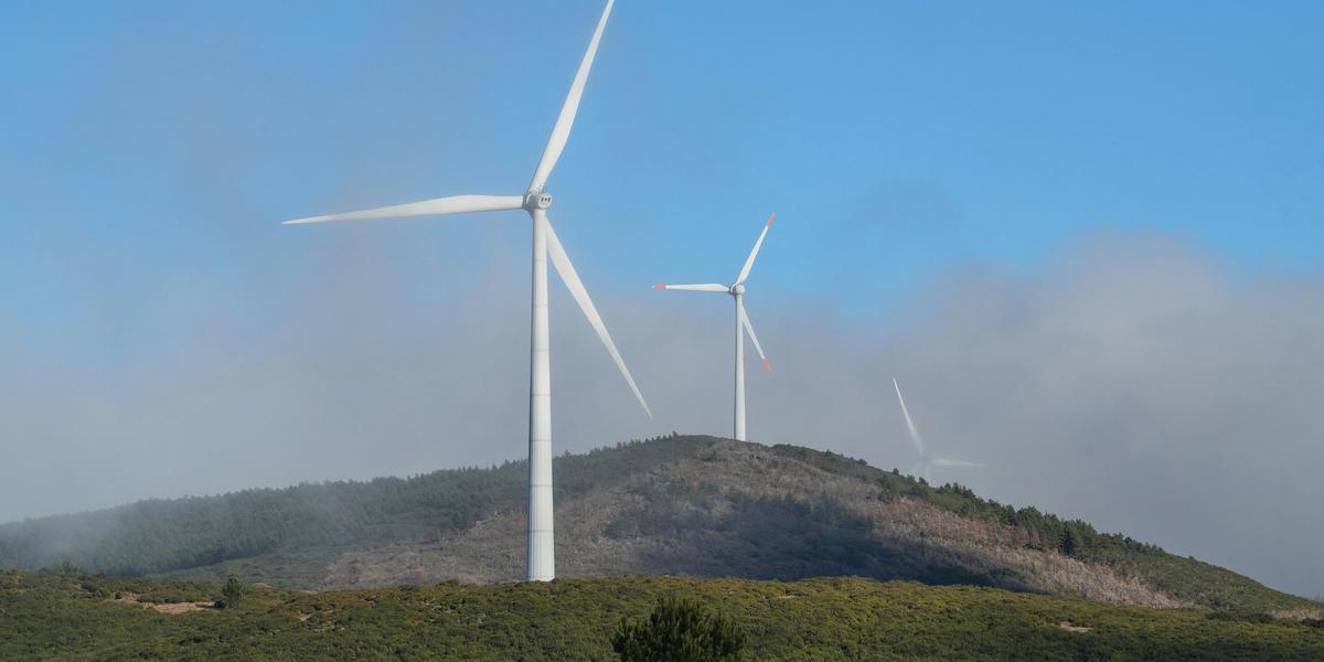ESG Investing: Do Values-Based Investments Deliver Returns?