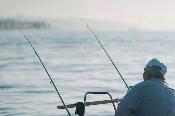 Target-Date Funds: The Set-It-and-Forget-It Retirement Investment