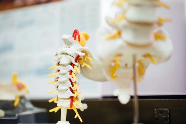 Spinal Cord Injury Claims: Catastrophic Damages and Legal Recovery