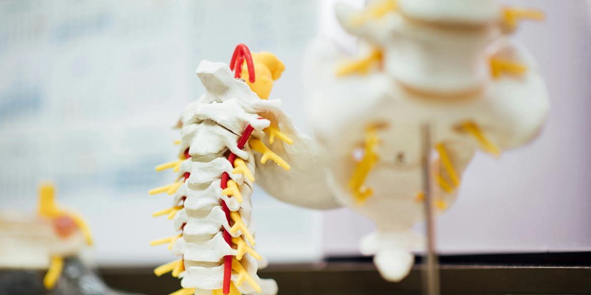 Spinal Cord Injury Claims: Catastrophic Damages and Legal Recovery