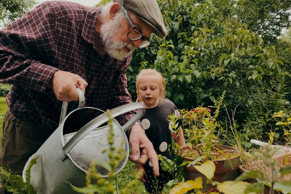 Estate Planning Basics: Wills, Trusts, and Beneficiaries