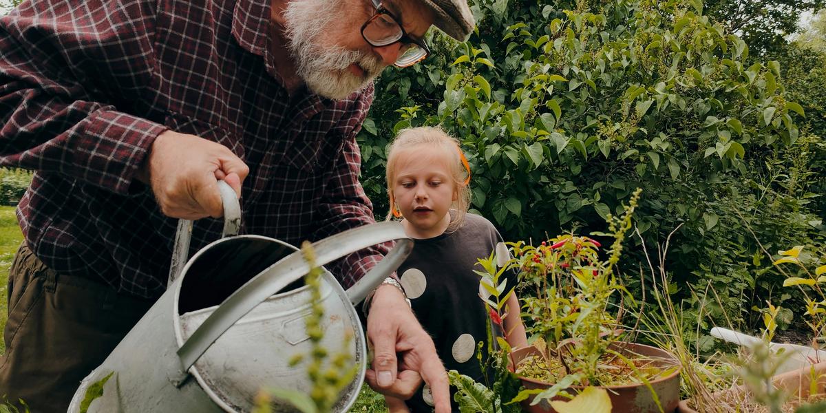 Estate Planning Basics: Wills, Trusts, and Beneficiaries