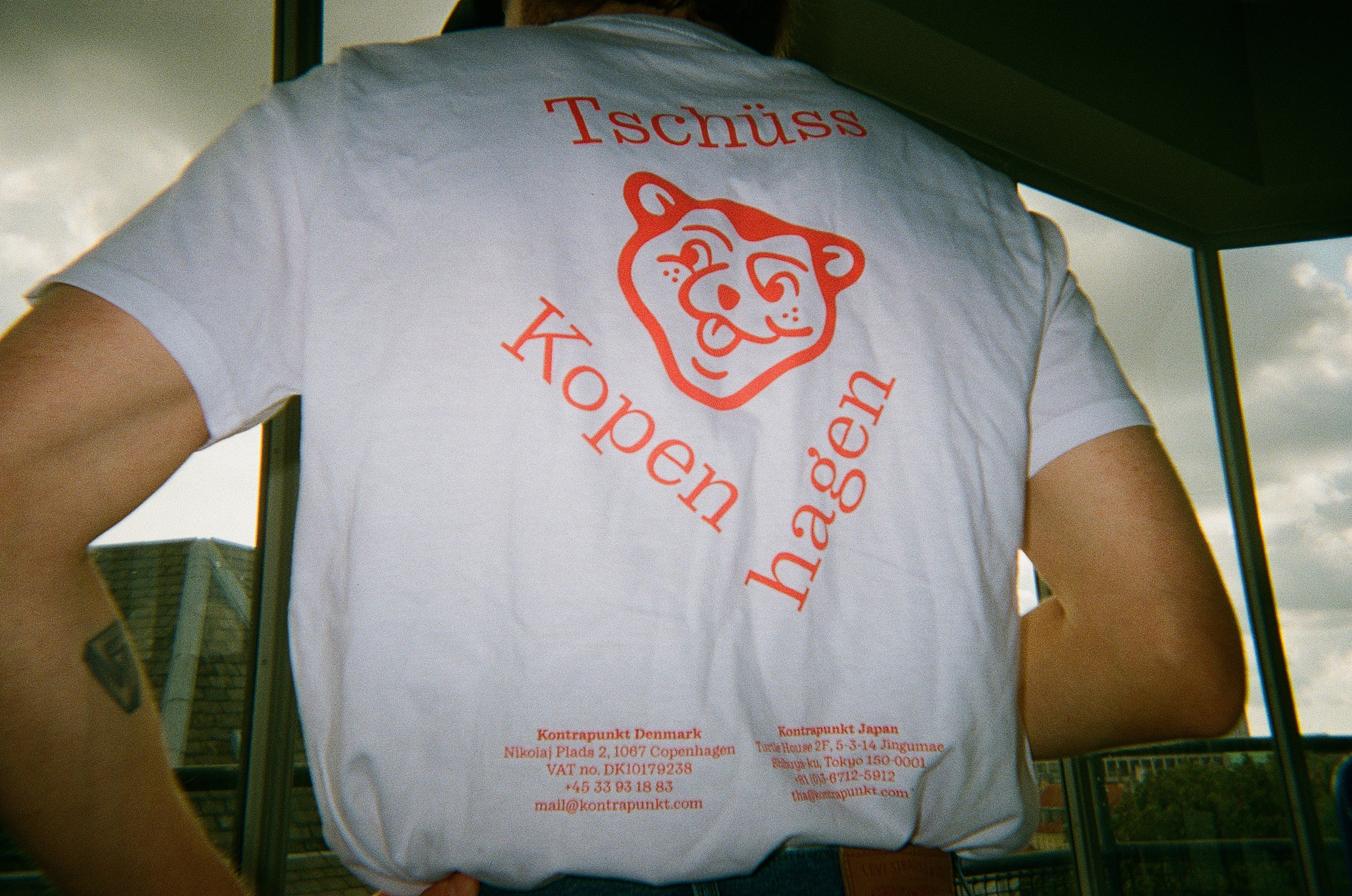 Failed to load the image