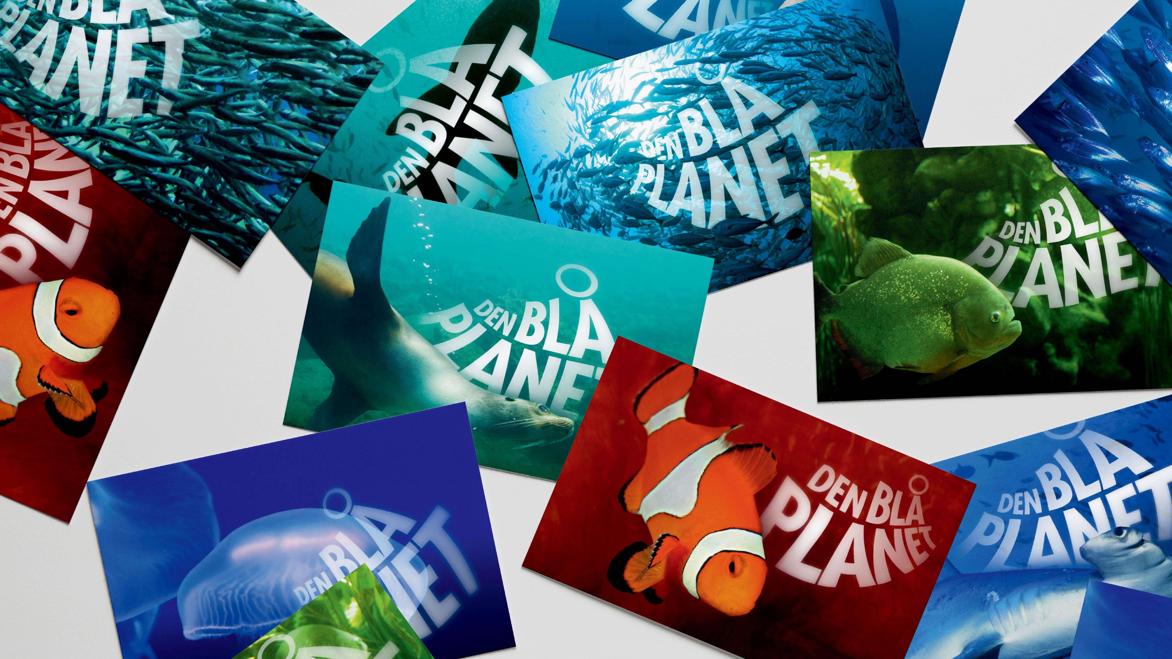 15 De 8000 15 De 8000