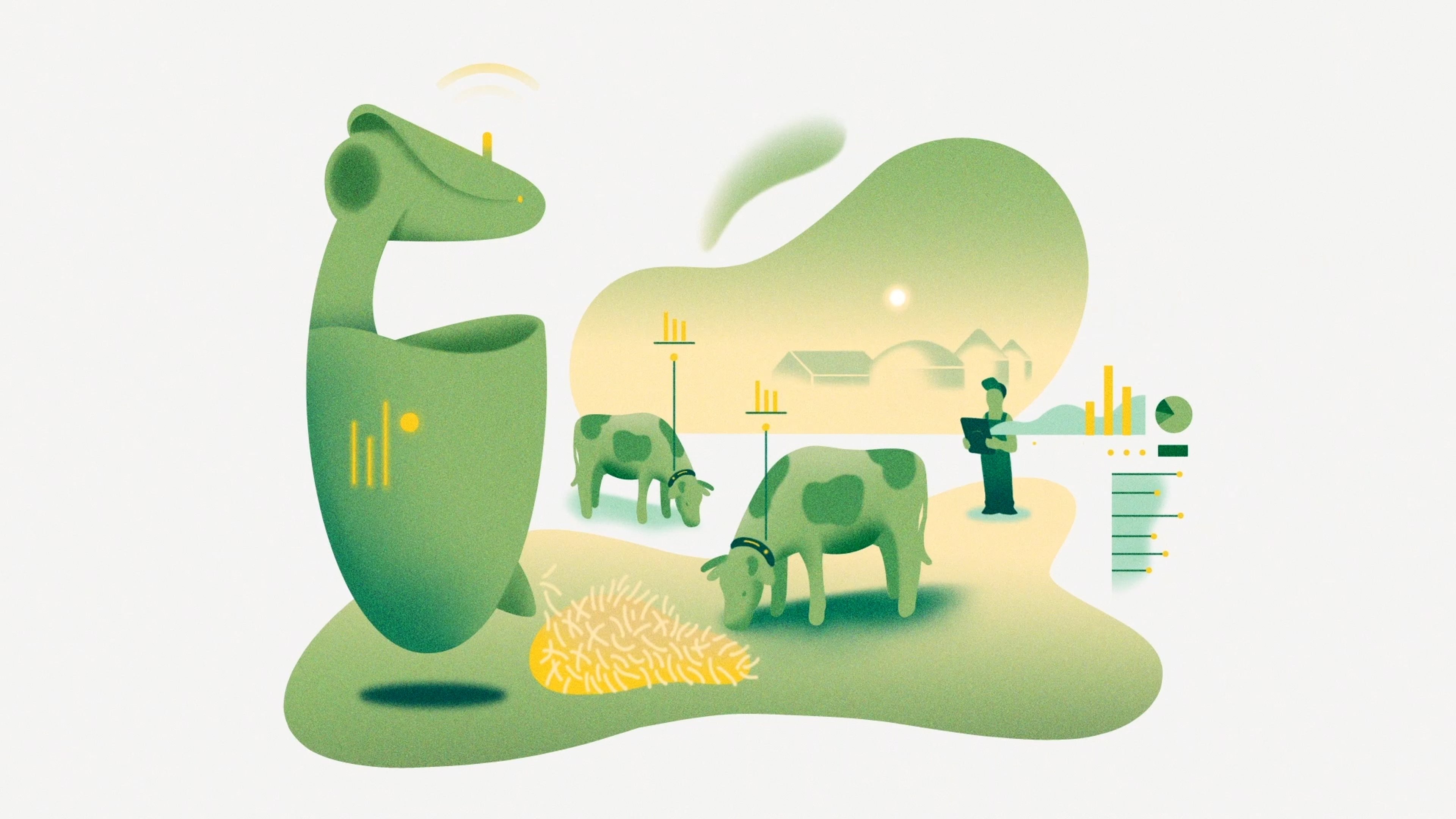 Failed to load the image