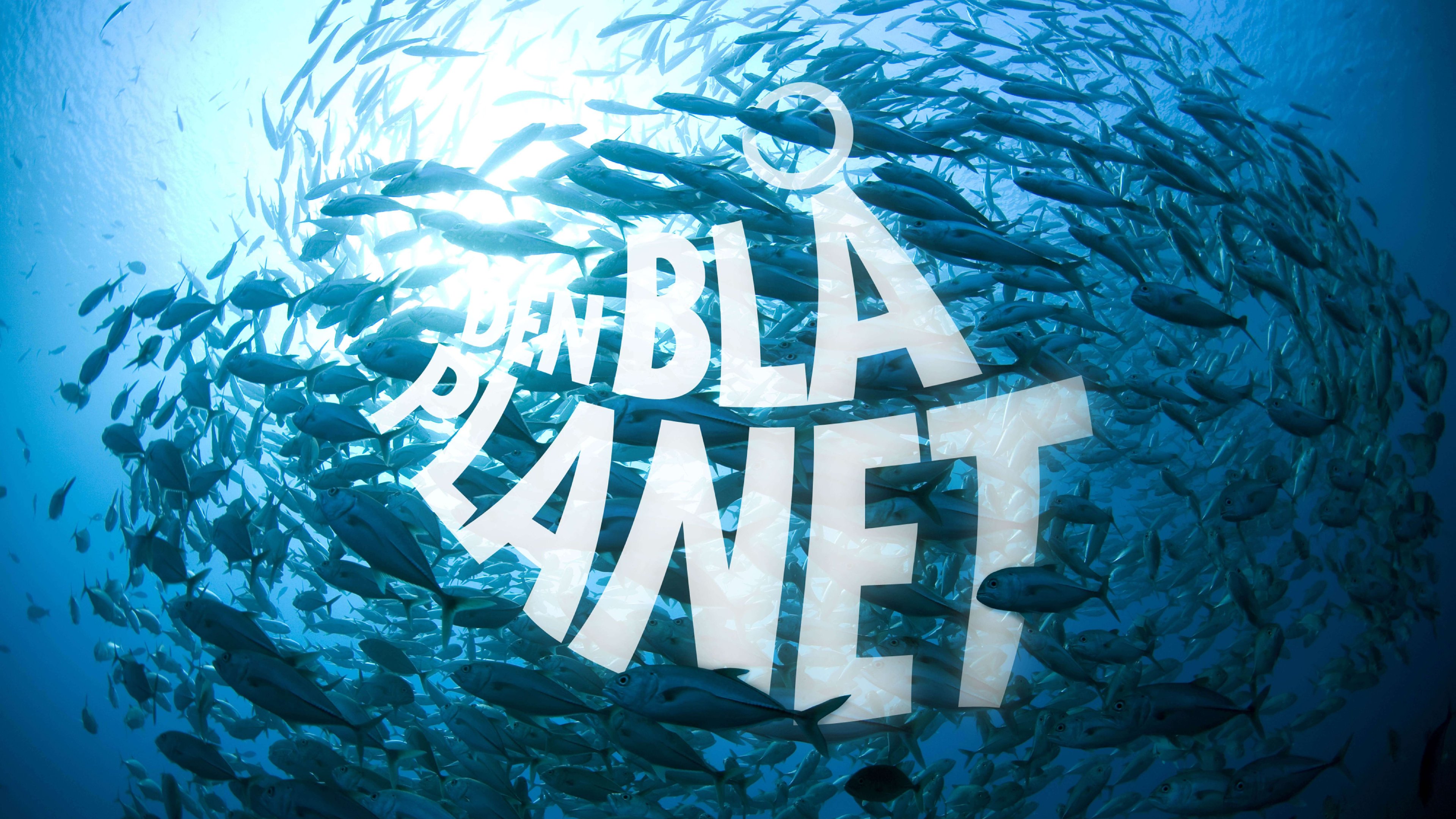 Bringing the stunning beauty of marine biology to life