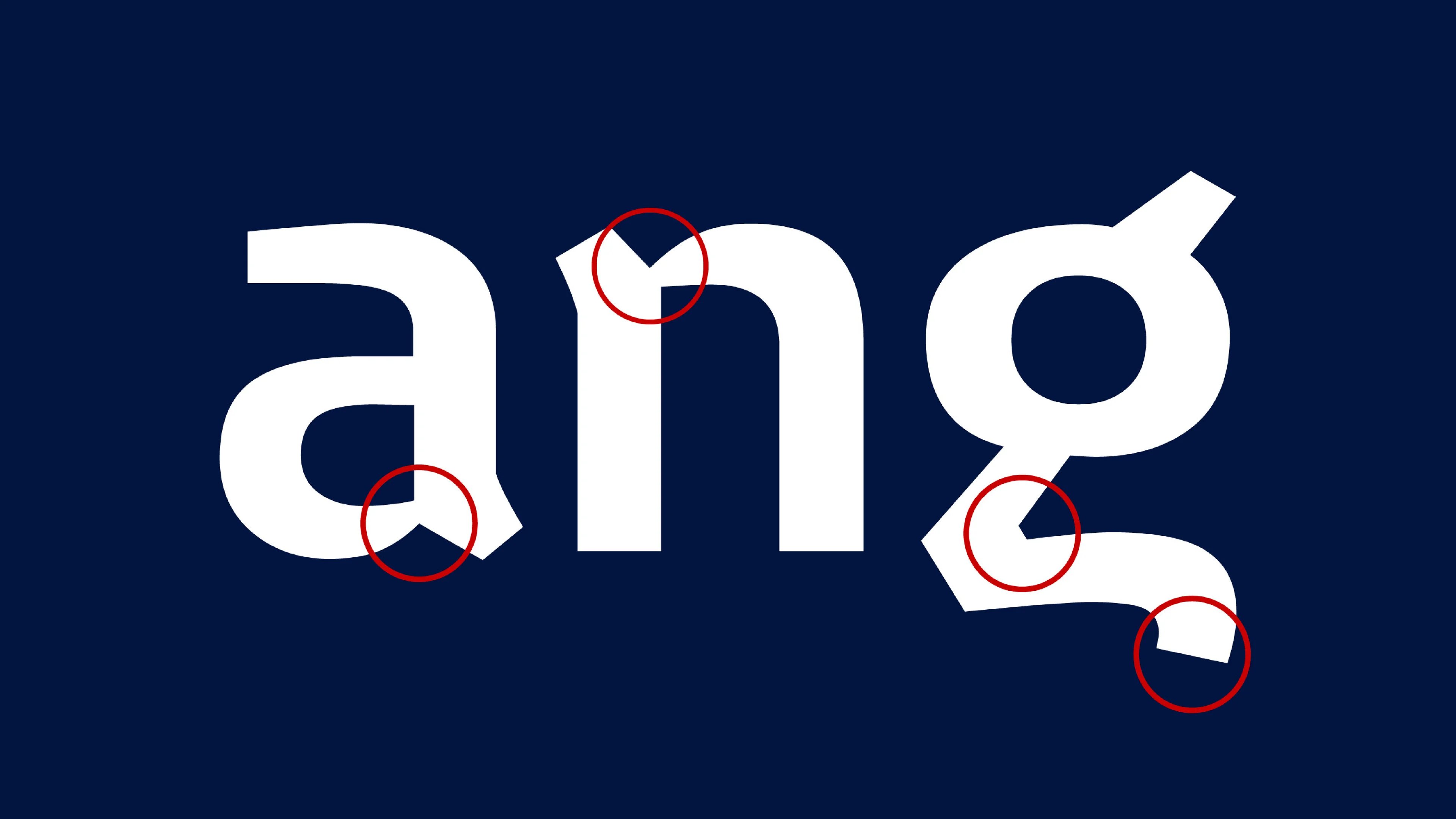 Failed to load the image