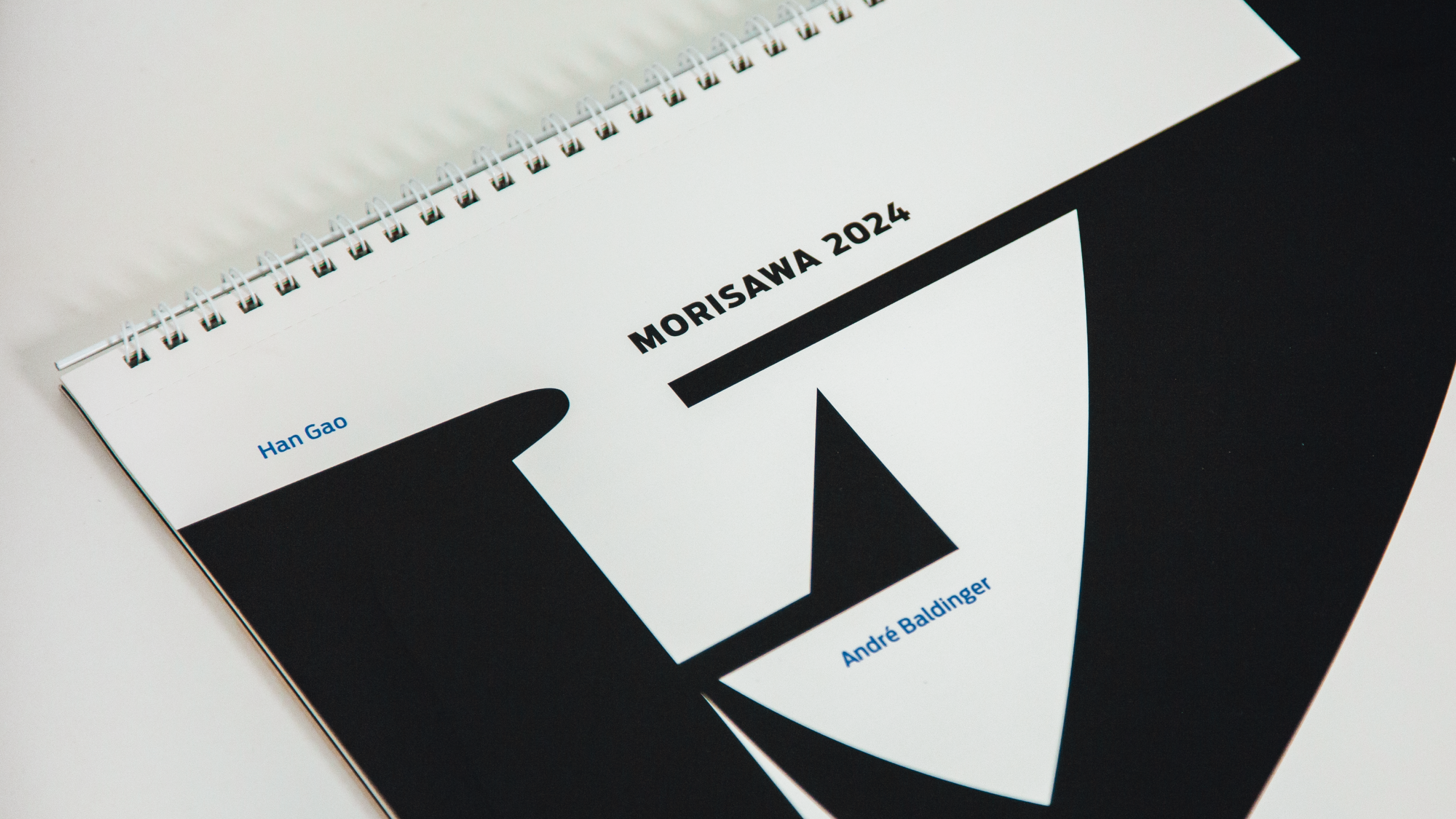 Failed to load the image