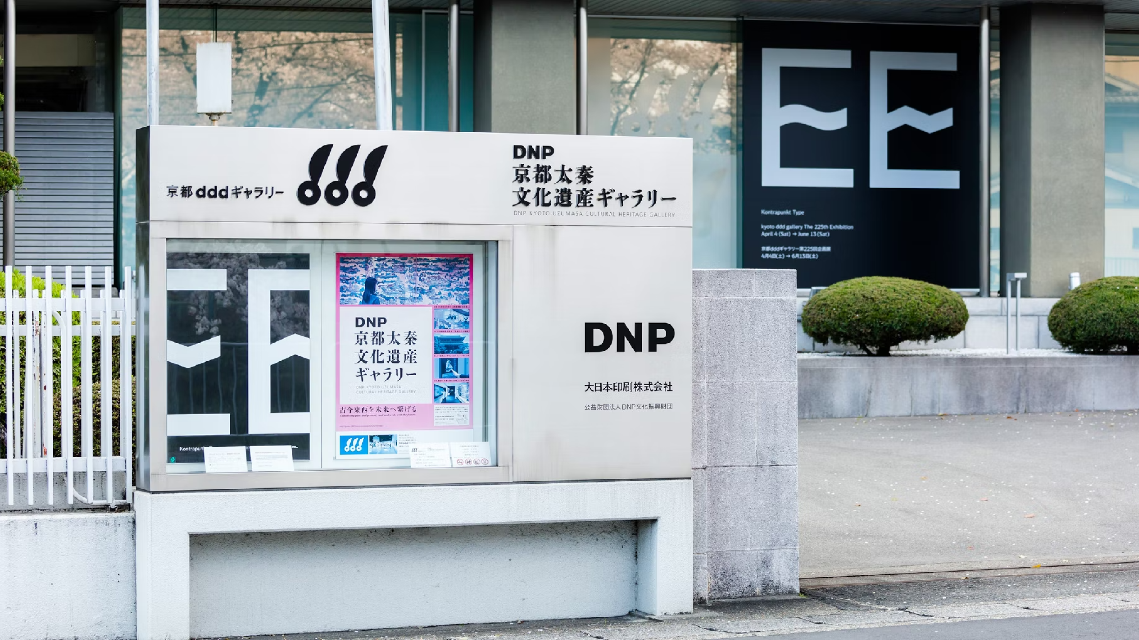 Failed to load the image