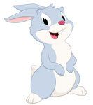 Rabbit