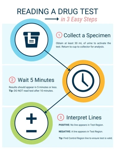 Reading a Drug Test in 3 Easy Steps