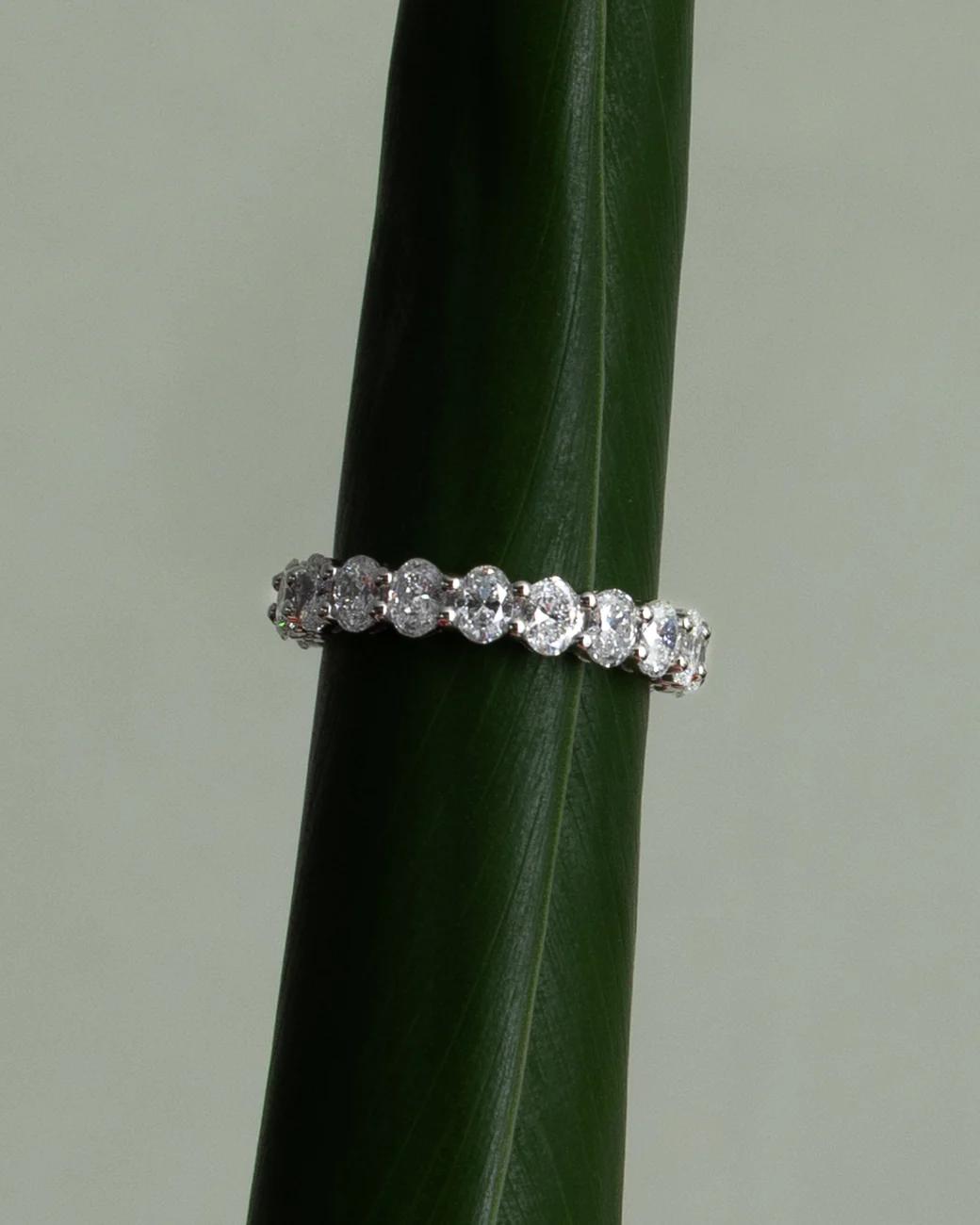 Cullen Jewellery diamond eternity band displayed on a dark green leaf, highlighting the brilliance of the stones against a natural backdrop.