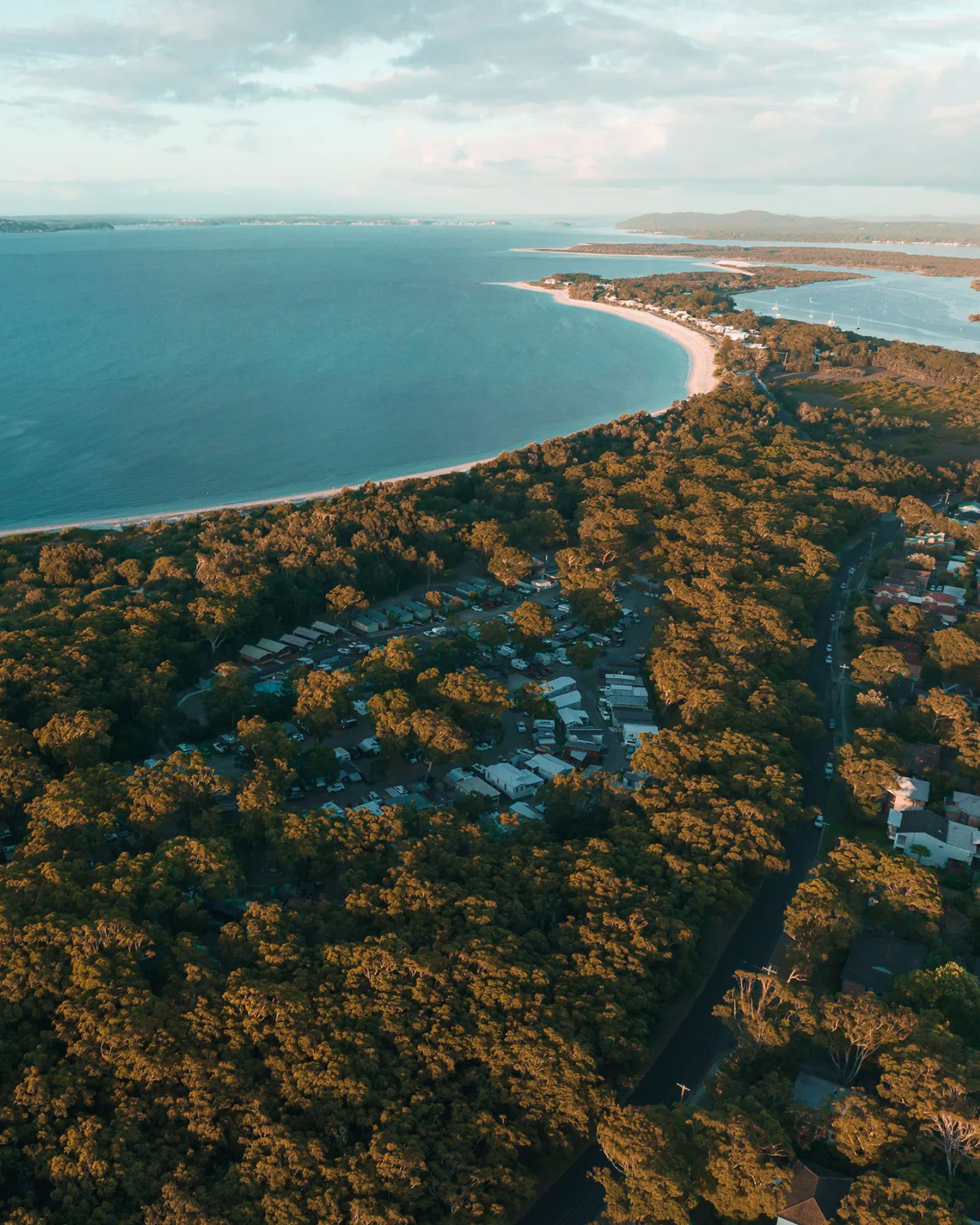 Reflections Holidays aerial view of a beachfront holiday park surrounded by trees and ocean