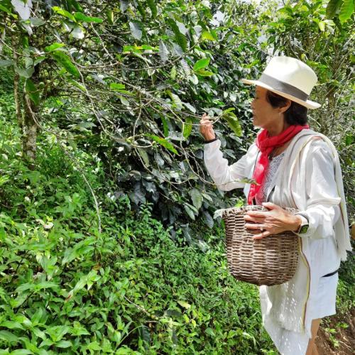 Coffee Tour