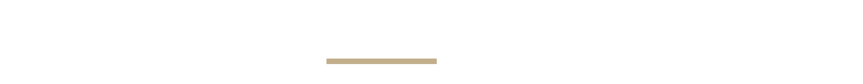 RE/MAX Plus City Team logo