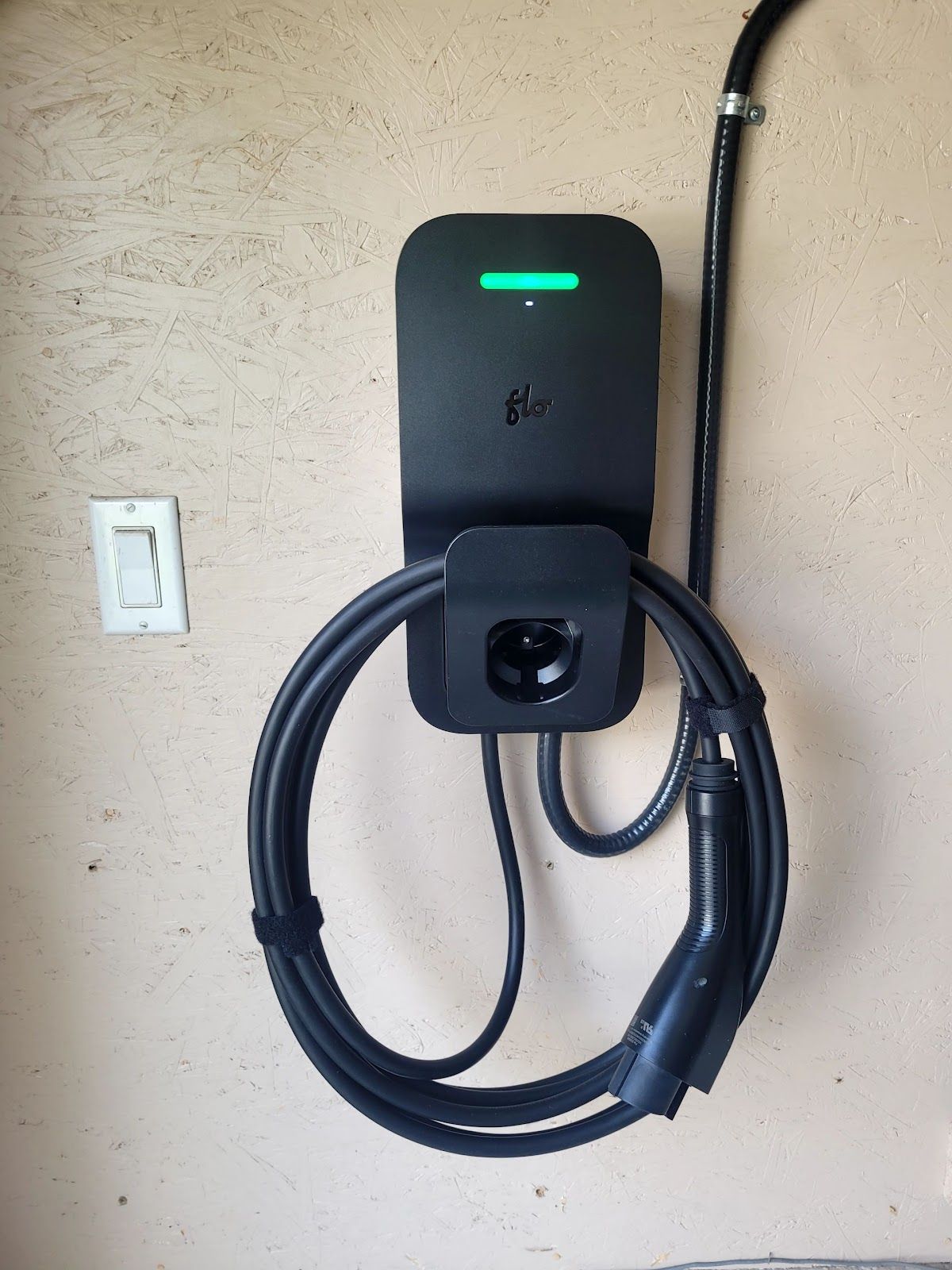 Evolta Electric photo