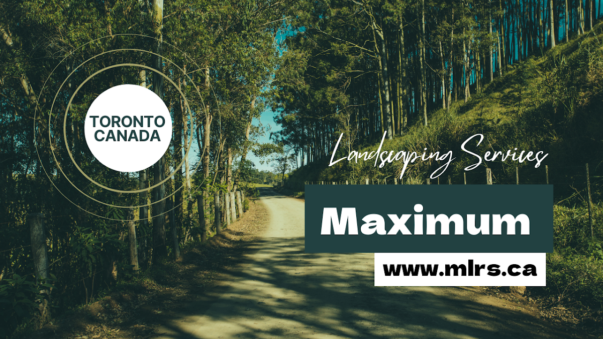 Maximum Landscaping Services photo