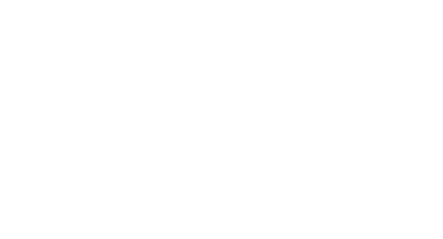 TEAM TRAN OTTAWA logo