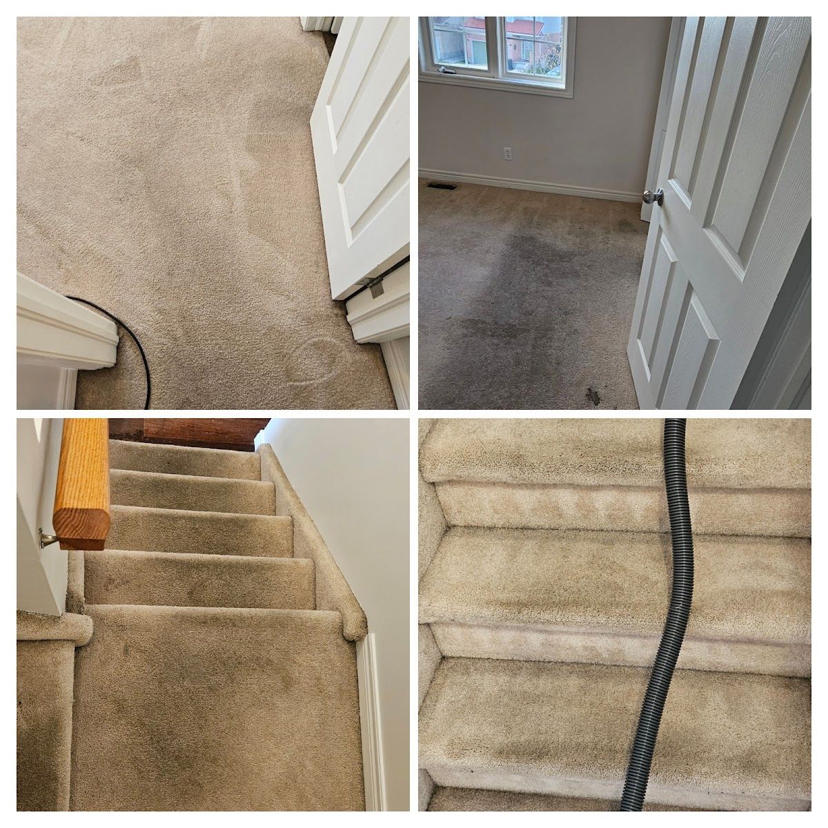 Tripple J Cleaning Inc. photo