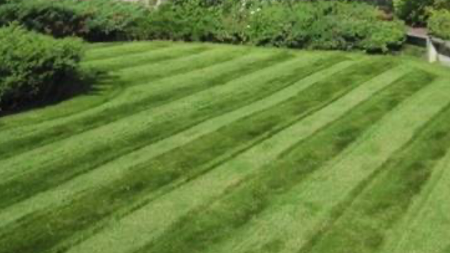 Greenedge lawncare Inc. photo