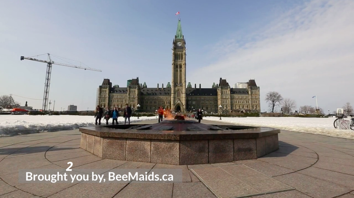BeeMaids.ca photo