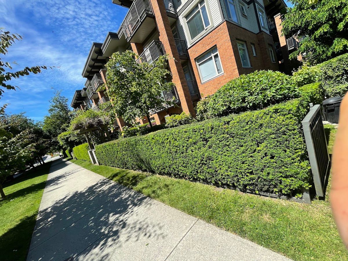 Golden Rake Landscaping photo