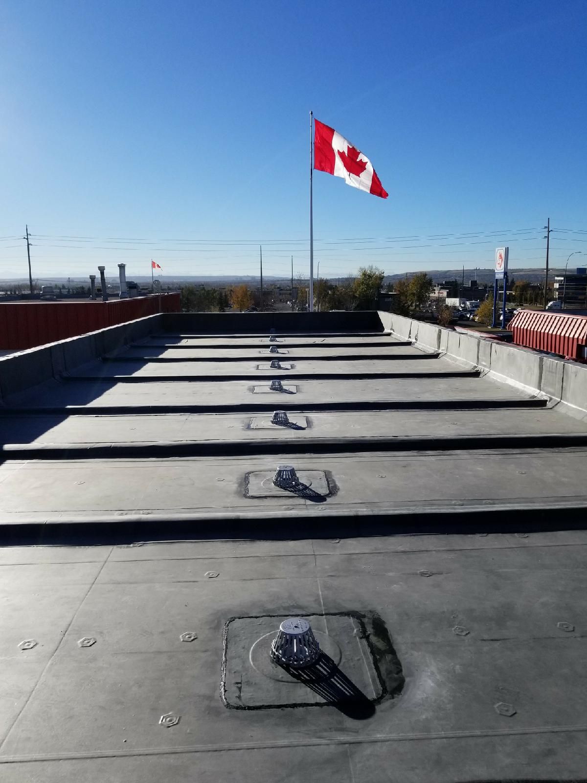 Lynnwood Roofing photo