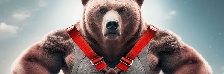 Bears Valley Roofing & photo