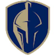 Blue Knight Roofing Inc logo