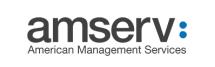 Blitz Technology Consulting logo