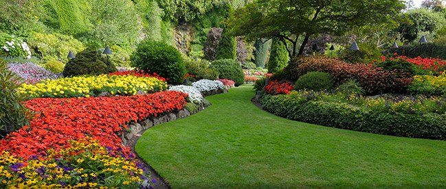 Heninger Landscaping Inc. photo