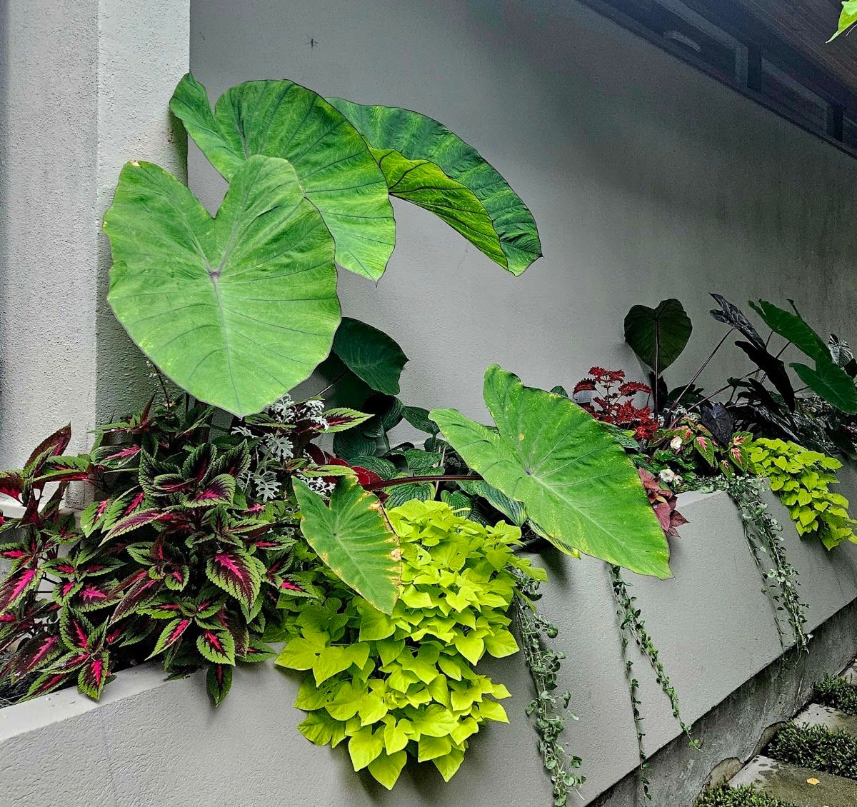 EDGE. Landscaping & Garden photo