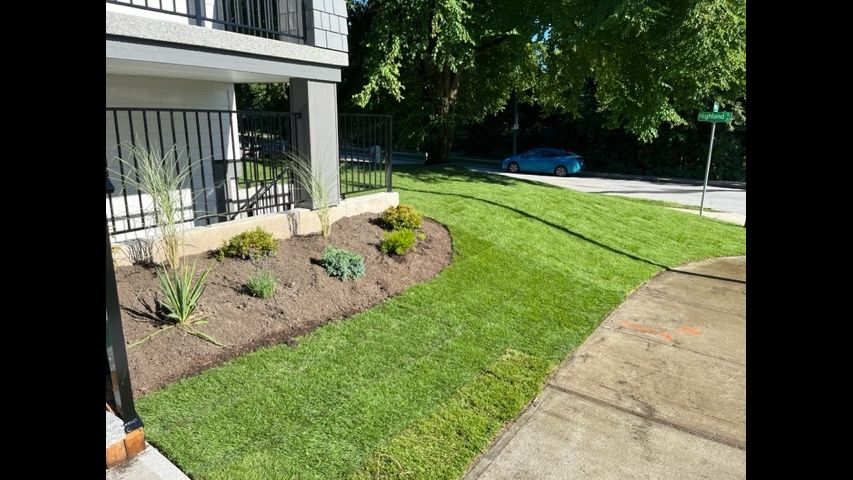 Mr Lawn Installation and photo