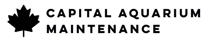TORONTO AI logo