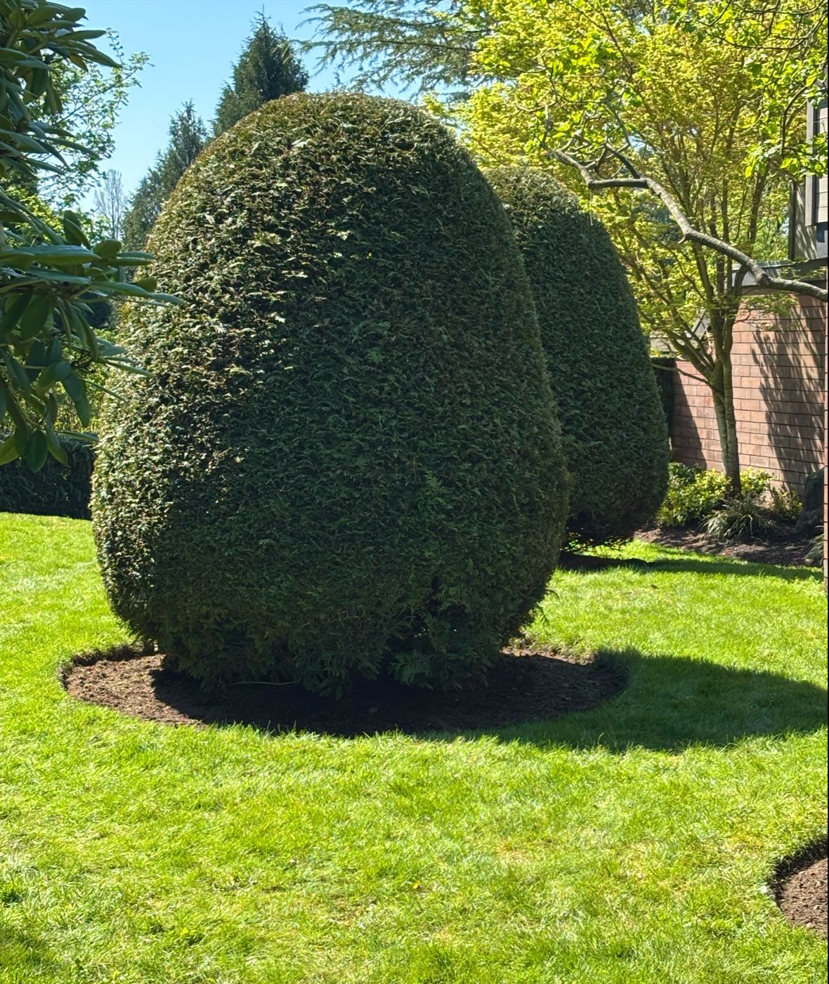 Meridian Landscaping photo