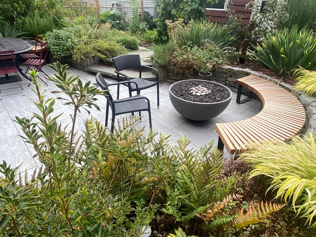 Carrot Top Gardens photo
