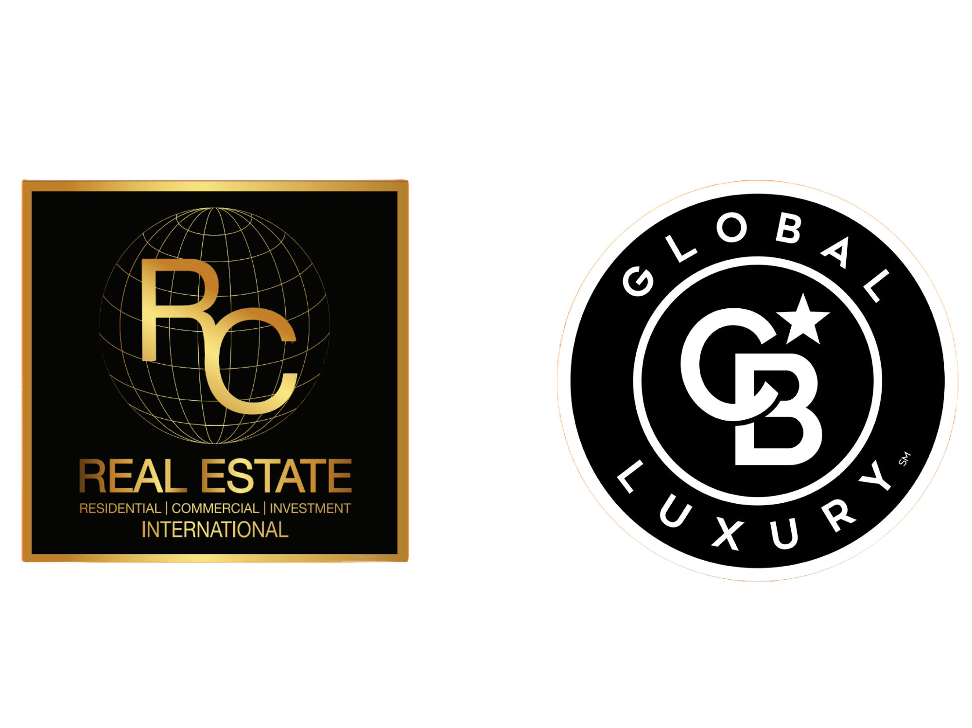 Raymond Chin Real Estate logo