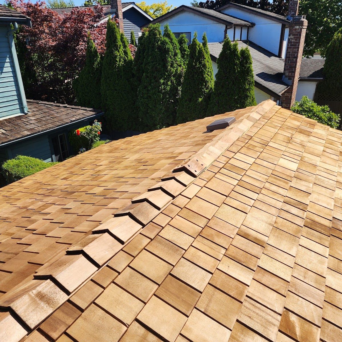 Canuck Roofing Ltd. photo